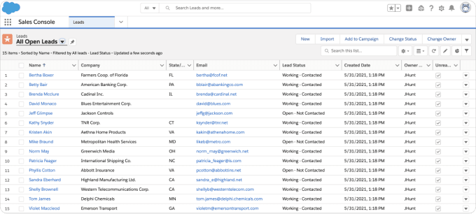 Salesforce lead view